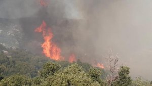 Antalya'da makilik yangını