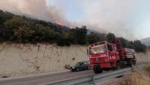 Antalya'da makilik yangını