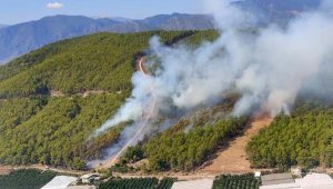 Antalya'da orman yangını
