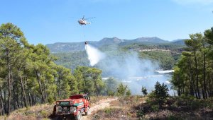 Antalya'da orman yangını