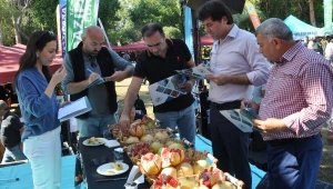 Çekirdeksiz Nar ve Tropikal Meyve Festivali yarışmalarla devam etti
