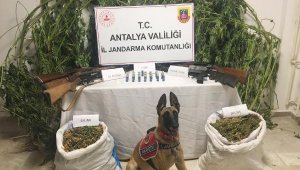 Jandarmadan uyuşturucu baskını