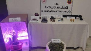 Jandarmadan uyuşturucu baskını