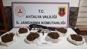 Jandarmadan uyuşturucu operasyonu