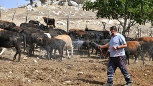 Konyaaltı'ndan bir ilk daha