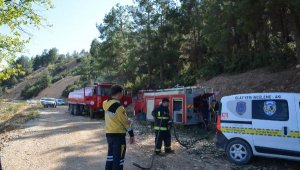 Korkuteli'de orman yangını