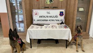 Manavgat'ta uyuşturucu operasyonu
