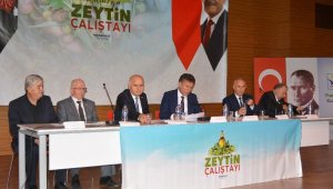 Manavgat'ta Zeytin Çalıştayı düzenlendi