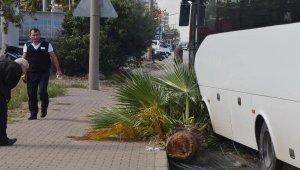 Alman turistler, yara almadan kurtuldu