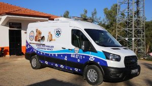 Kaş Belediyesi Sokak Hayvanları Müdahale Aracı hizmette
