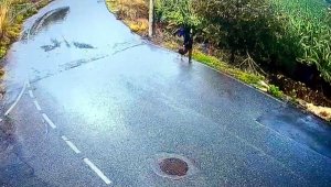 Kayıp Seda Nur, 4 gündür aranıyor
