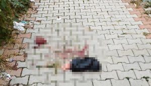 Kız bebek, poşete konup apartmandan atıldı