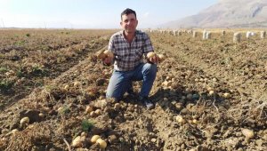 Korkuteli'de patates hasadı sona erdi