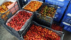 Sebzede örtü altı sezonu açıldı, fiyatlar düşüyor