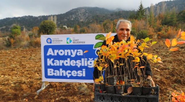 Antalya ile İzmit'in 'aronya' kardeşliği