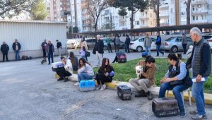 Evcil hayvan sahiplerinin 'çip taktırma' sırası
