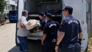Evde bıçaklanarak öldürülen 2 yaşındaki Betül'ün babası: Eşimden davacıyım