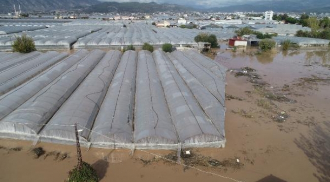 Sel felaketinin yaşandığı Kumluca'da hale giren ürün, yüzde 90 azaldı