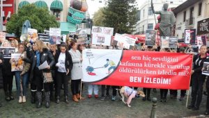 Sokak hayvanlarına şiddet protesto edildi