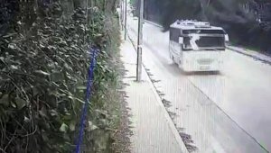Ağaç, servis otobüsü geçtikten saniyeler sonra devrildi