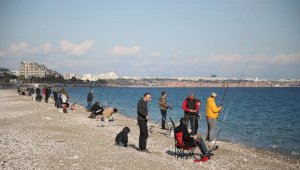 Antalya'da balık havuzunun patladığını duyan, oltalarıyla sahile koştu