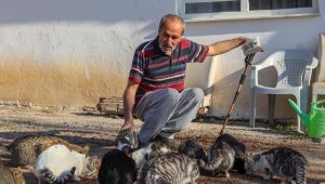 Bulduğu kör kediye baktı, mahalledeki kedilerin 'dedesi' oldu