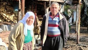 Evleriyle, portakal hasadı kazancı ve 1 ton zeytinyağı yandı