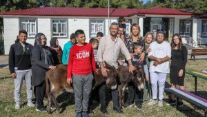 Kaderine terk edilen köy okulu, otizmli çocuklara umut oldu