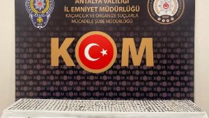 Tarihi eser kaçakçısı yakalandı