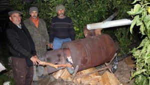 Antalya'da seralarda 'don' nöbeti