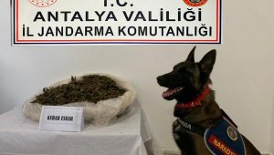 Jandarma aranan 210 şüpheliyi yakaladı
