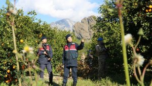 Jandarma komandoların 'narenciye' nöbeti