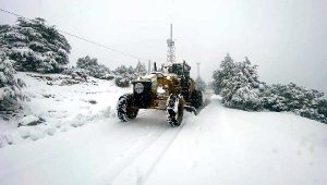 Kaş'ta kar mücadelesi