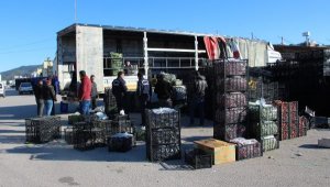 Kumluca'dan afet bölgesine 100 ton sebze