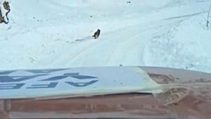 Yolu kaybeden ekipler, önlerine çıkan köpeği takip ederek yardım bekleyen köye ulaştı