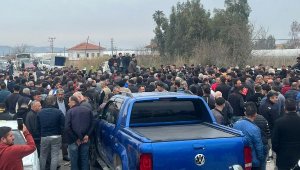 Antalya'da domates üreticileri ihracat kısıtlamasının kaldırılmasını istedi