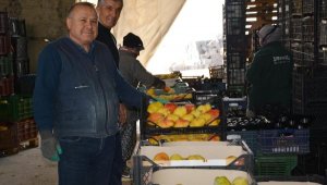 Armut ve ayvada hareketlilik sürüyor