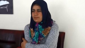 Depremi muhabbet kuşlarının çırpınmalarıyla anlamışlar