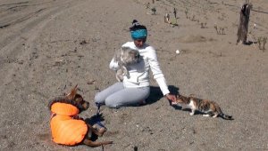 Depremzede kedi 'Anka'nın kader arkadaşı, afetzede köpek 'Deka'