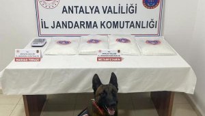 Jandarmadan uyuşturucu operasyonu