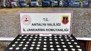 Jandarmanın başarılı operasyonları sürüyor