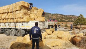 Konyaaltı'ndan afetzede üreticilere yem ve saman desteği