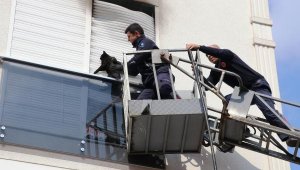 Yangında panjur ile balkon camı arasına sıkışan kedi kurtarıldı