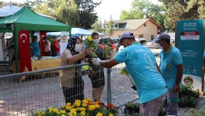 Alanya Belediyesi 62 bin 500 çiçek dağıtacak