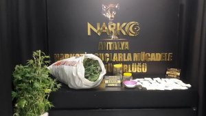 Evde uyuşturucu yetiştiren 2 kişi gözaltında