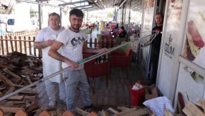 Papağanı yakalamak isterken elektrik akımına kapılan iki arkadaştan biri taburcu