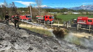 Serik'te bahçe temizliği için yakılan ateş ormana sıçradı