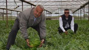 Serikli üretici karpuz hasadına hazırlanıyor