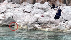 Sıçan Adası'ndaki kayalıklarda kadın cesedi