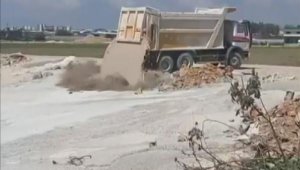 Üzerlerine beton atık suyu dökülen 5 yavru köpekten 3'ü öldü